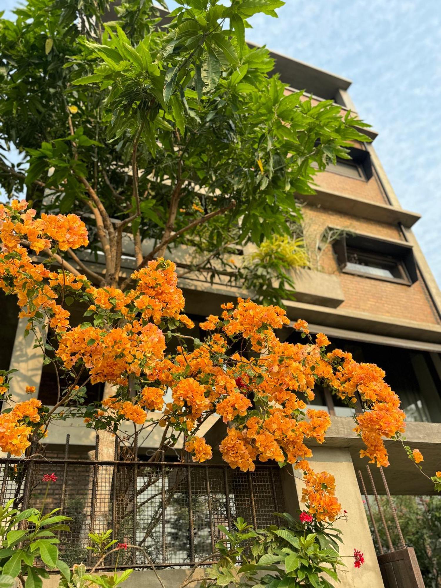 Kaia Gallery Hotel Hoi An Zewnętrze zdjęcie